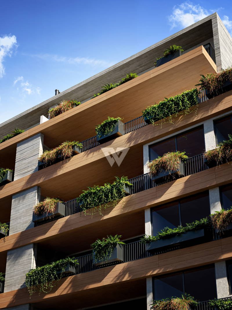 Imagem da propriedade 3