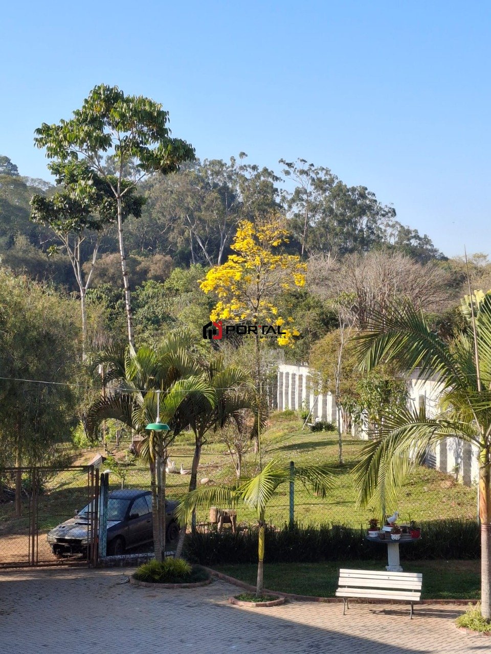Imagem da propriedade 15