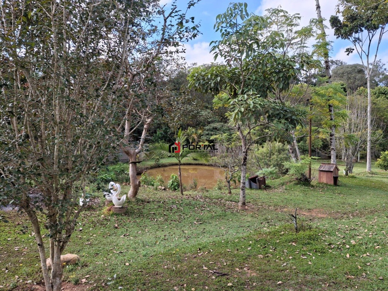 Imagem da propriedade 23