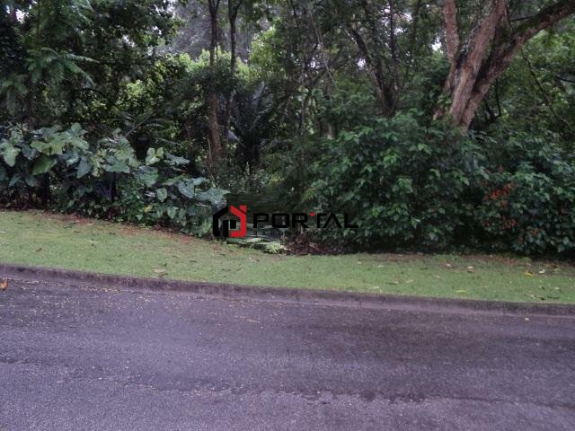 Imagem da propriedade 17