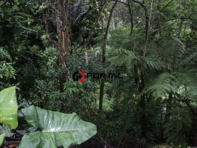 Imagem da propriedade 9