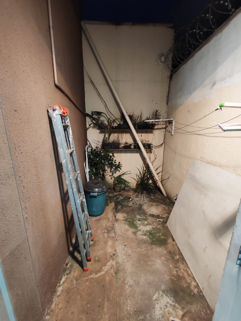 Imagem da propriedade 5