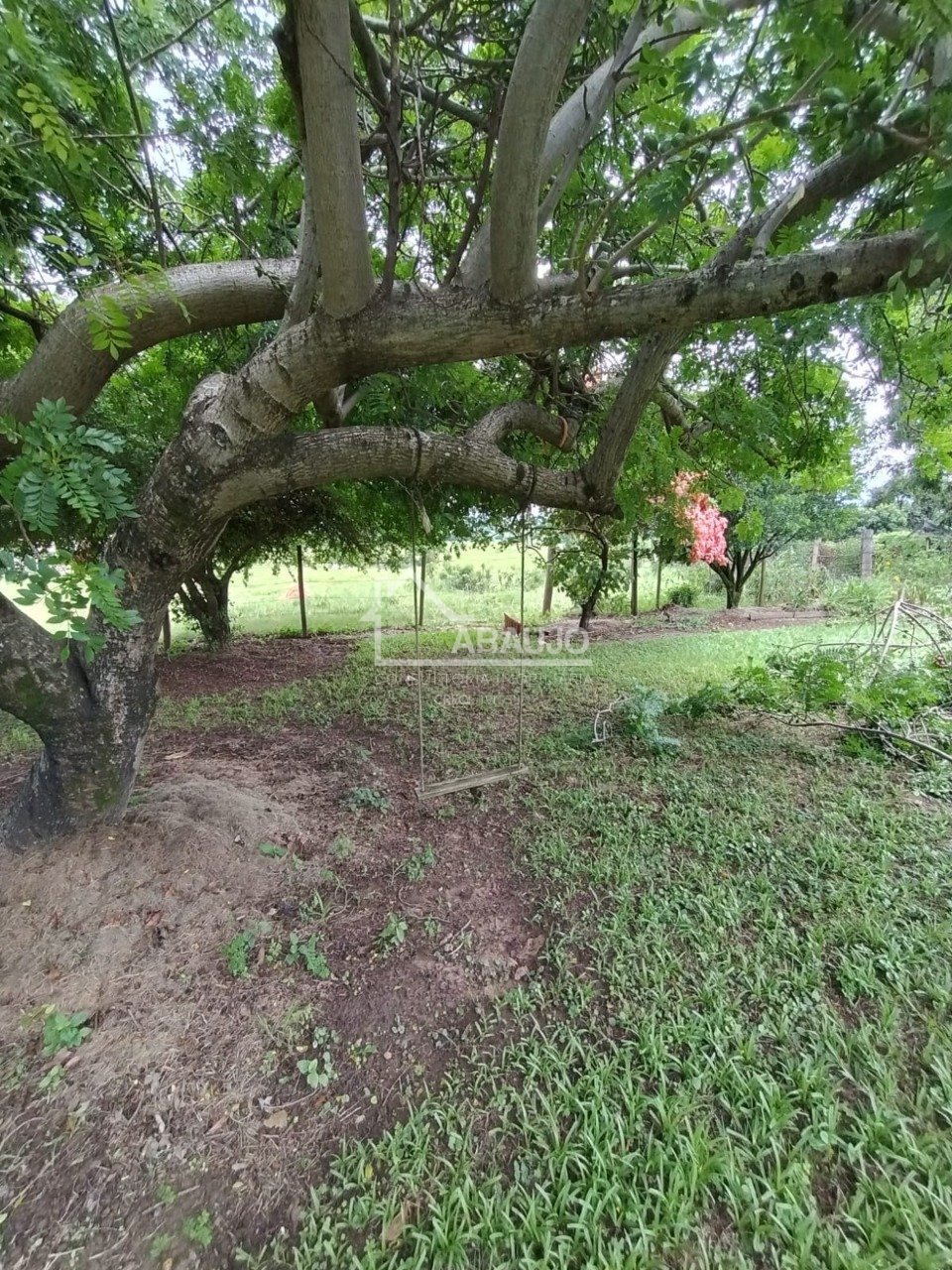 Imagem da propriedade 14
