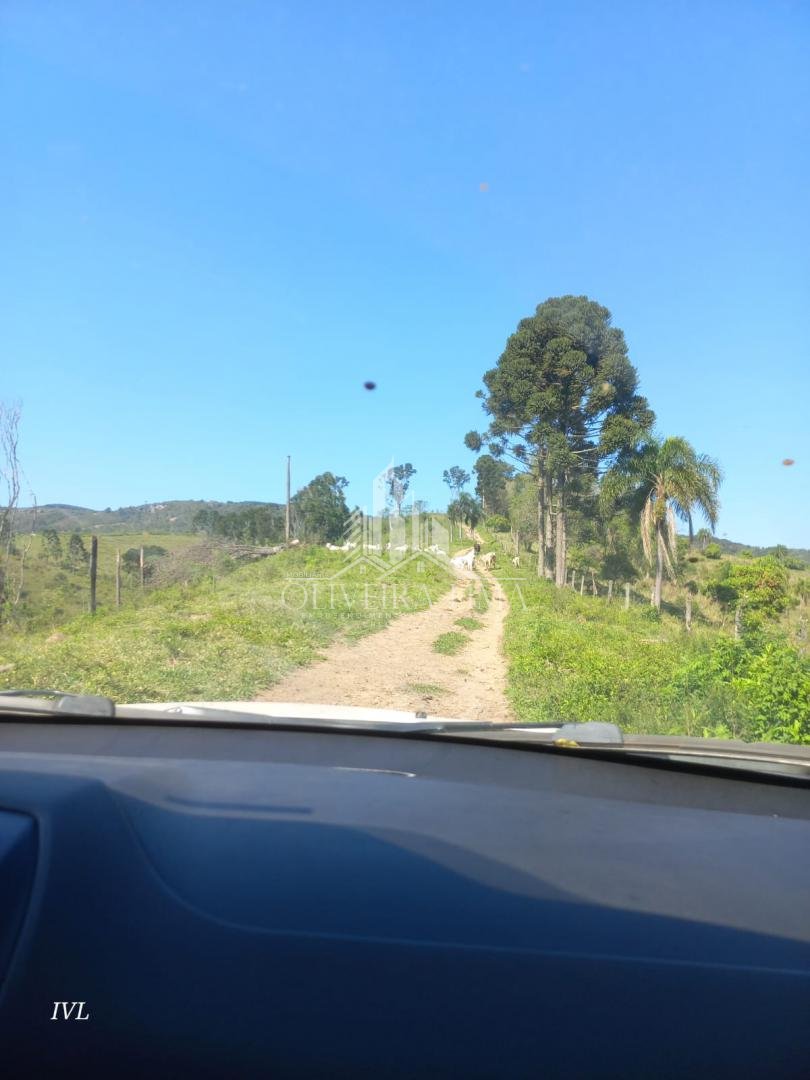 Imagem da propriedade 12