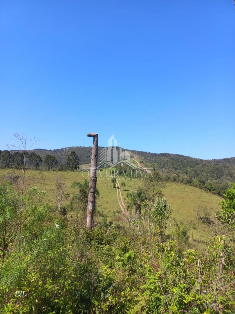 Imagem da propriedade 9