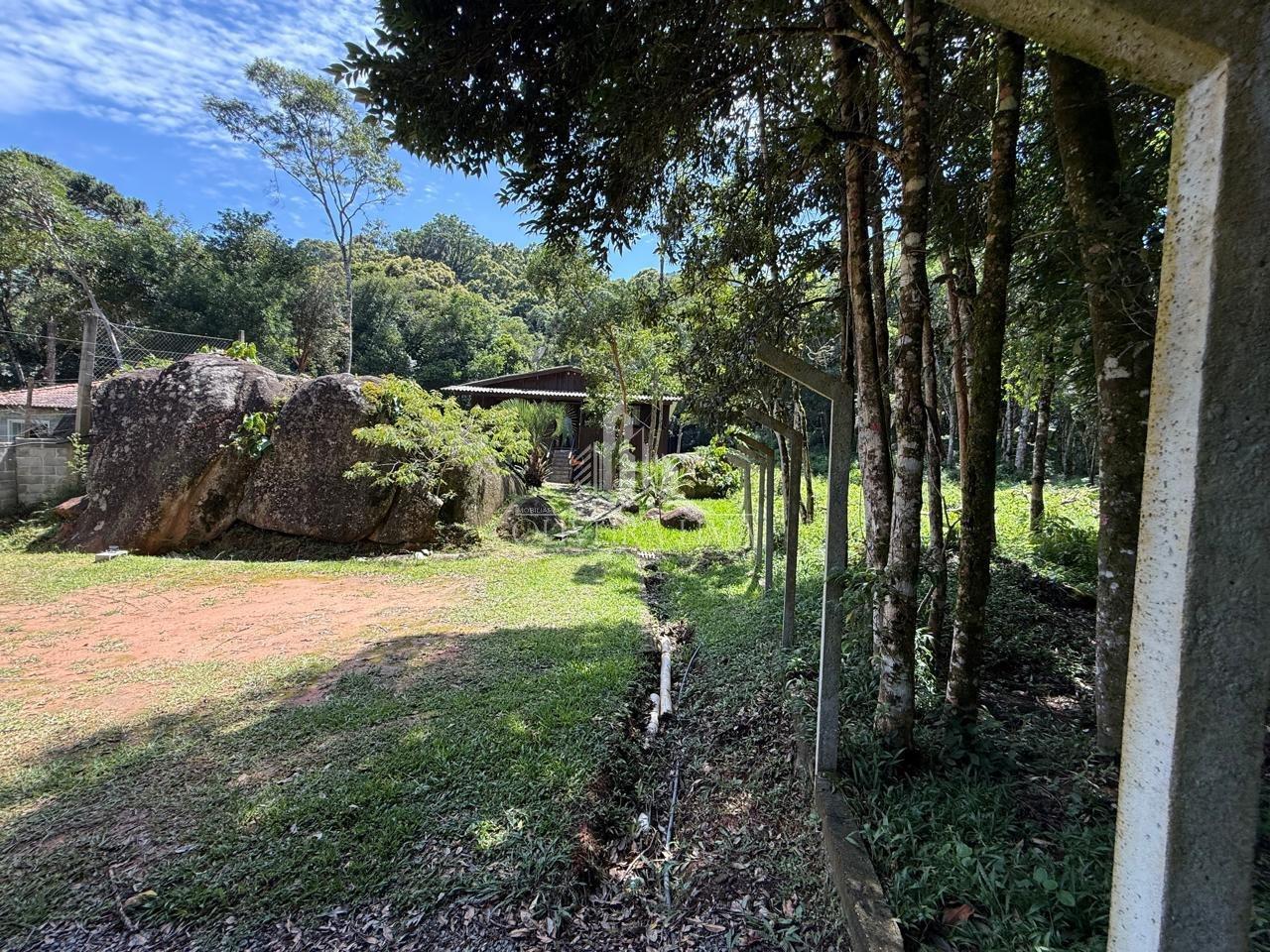 Imagem da propriedade 13