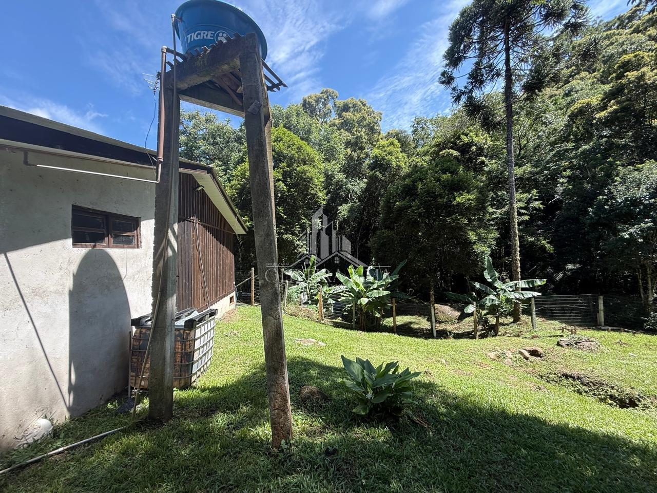 Imagem da propriedade 5