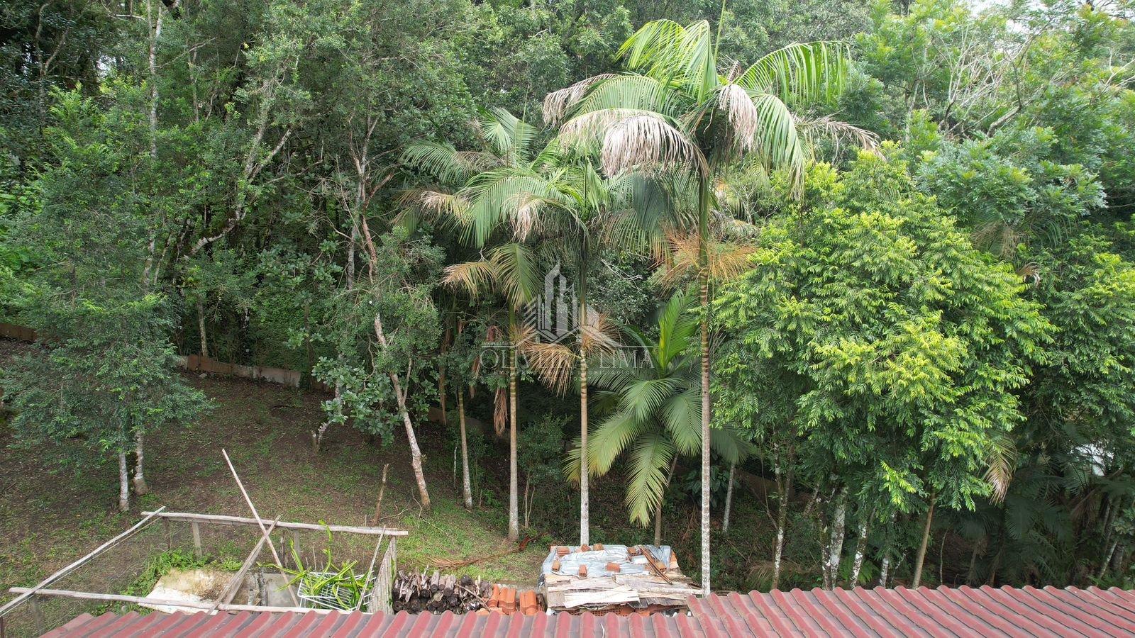 Imagem da propriedade 131