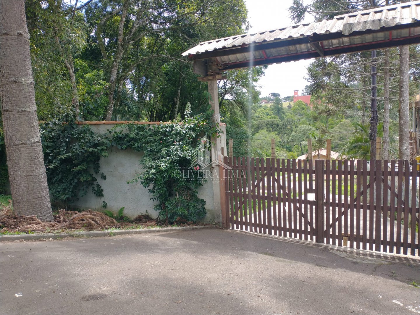 Imagem da propriedade 24