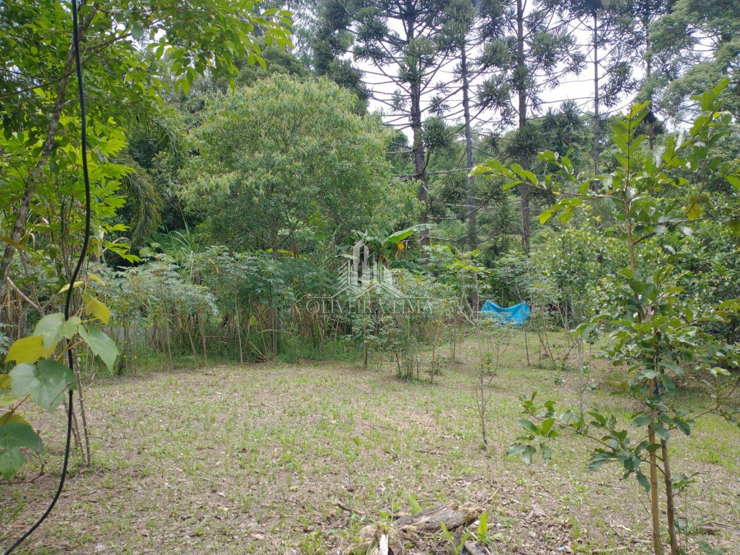 Imagem da propriedade 53
