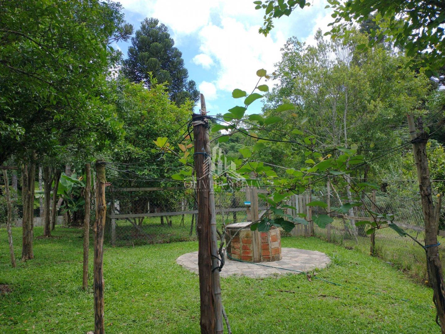 Imagem da propriedade 51