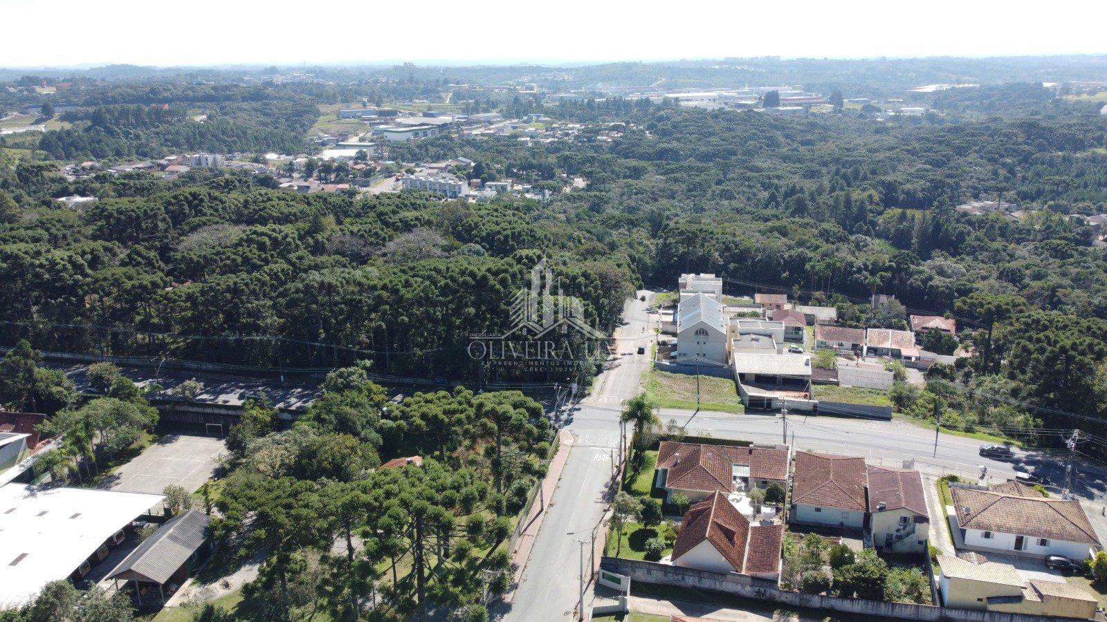 Imagem da propriedade 4