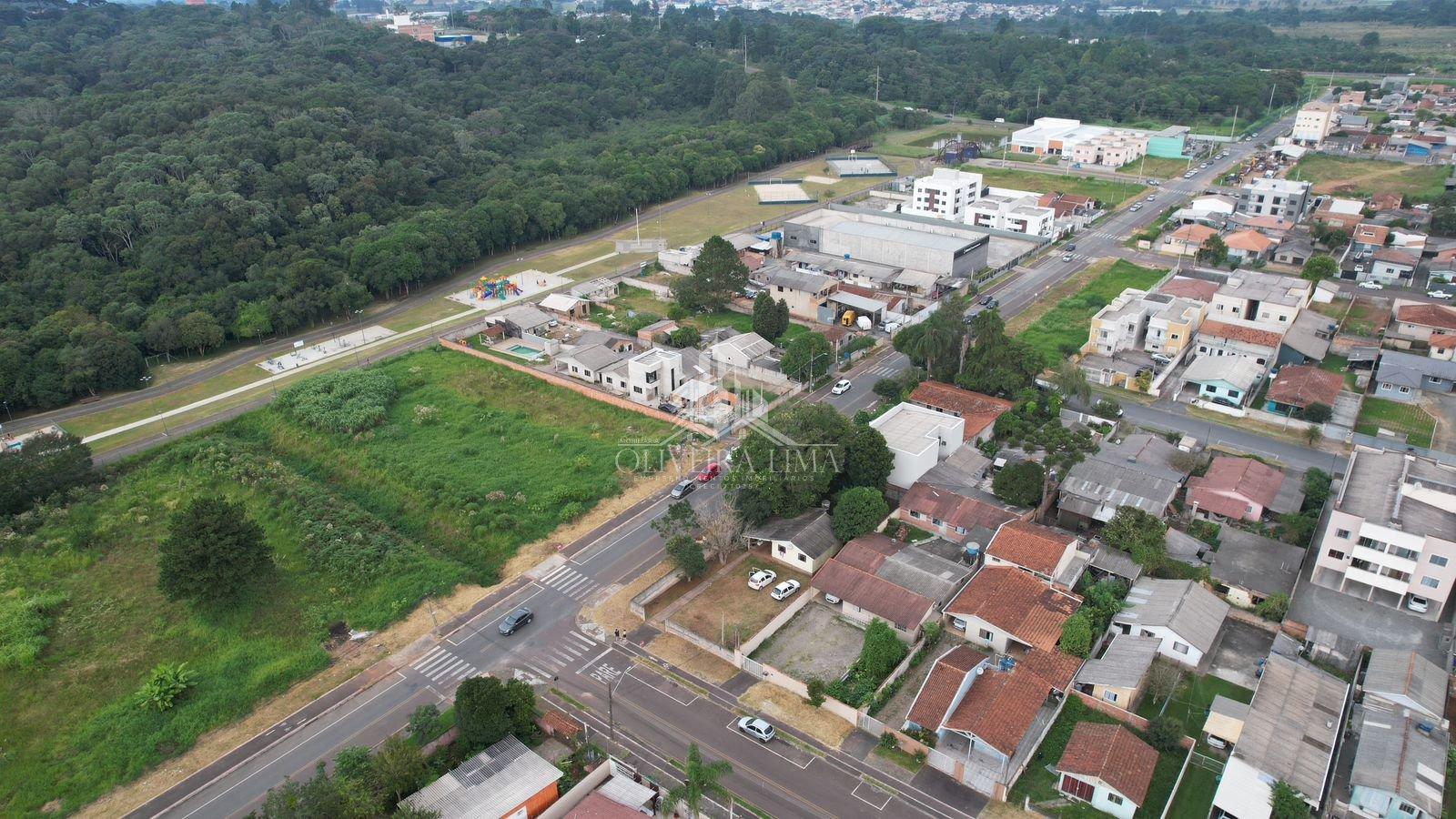 Imagem da propriedade 6
