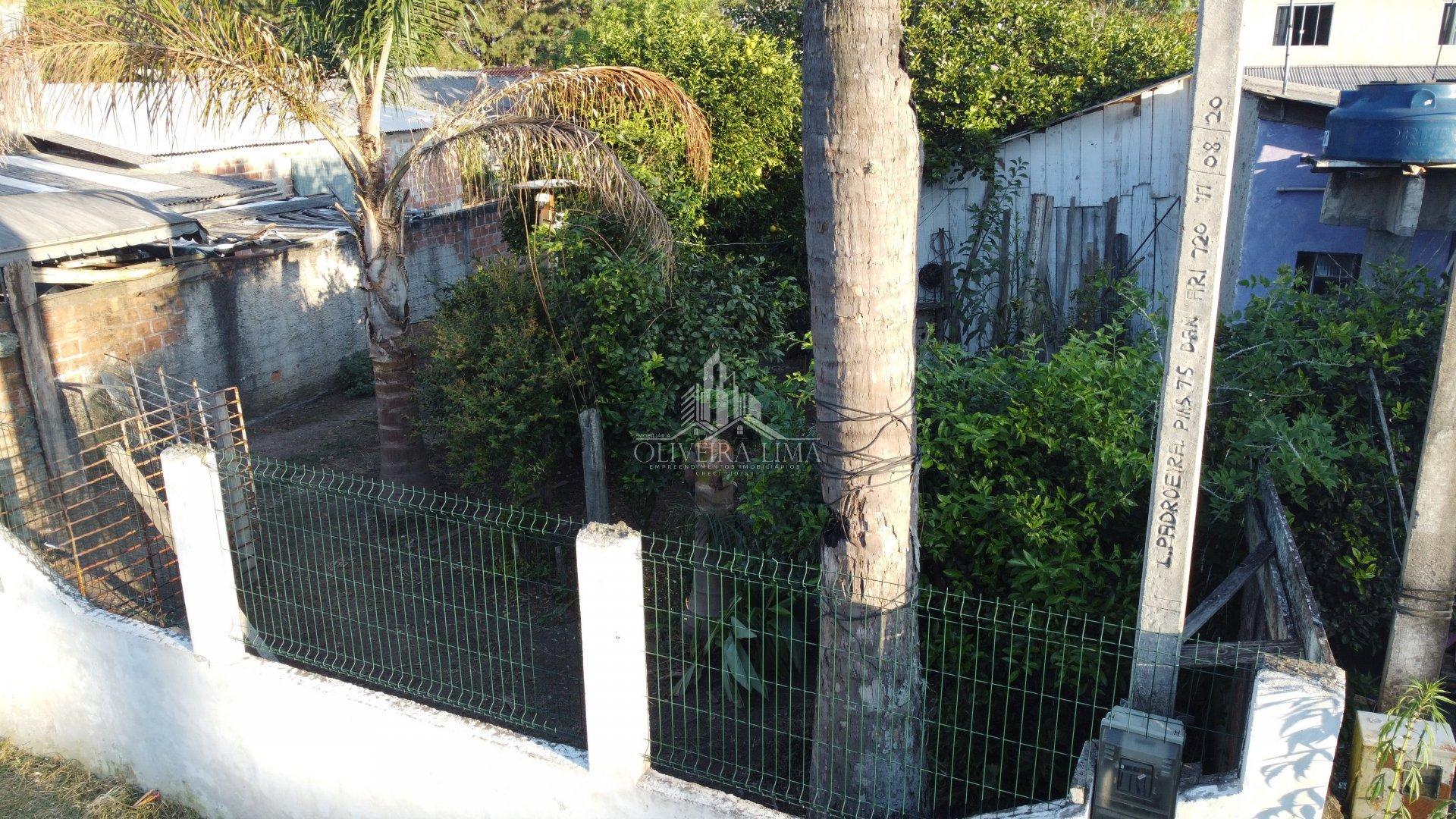 Imagem da propriedade 6