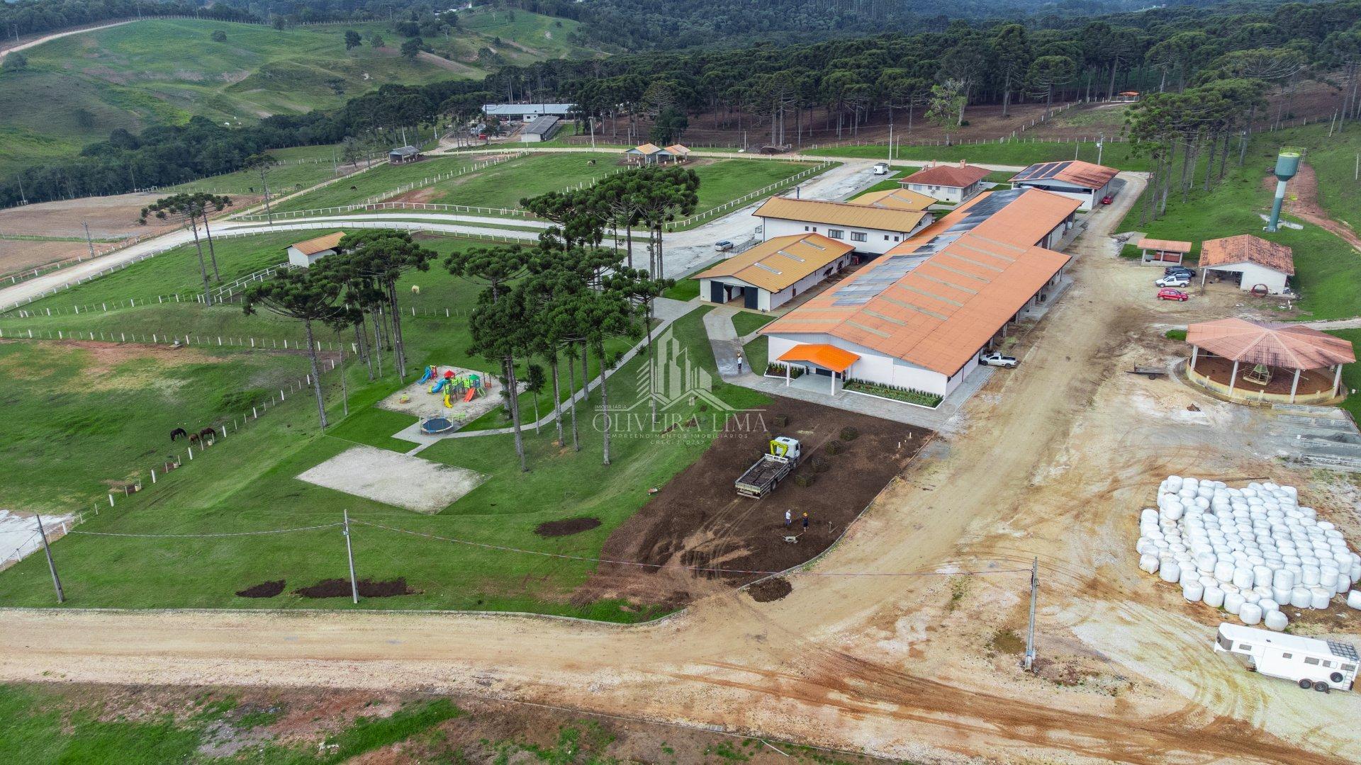 Imagem da propriedade 11