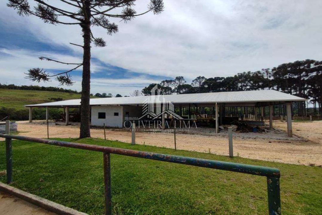Imagem da propriedade 38