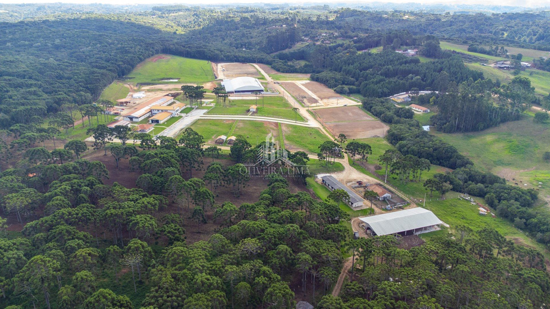 Imagem da propriedade 6