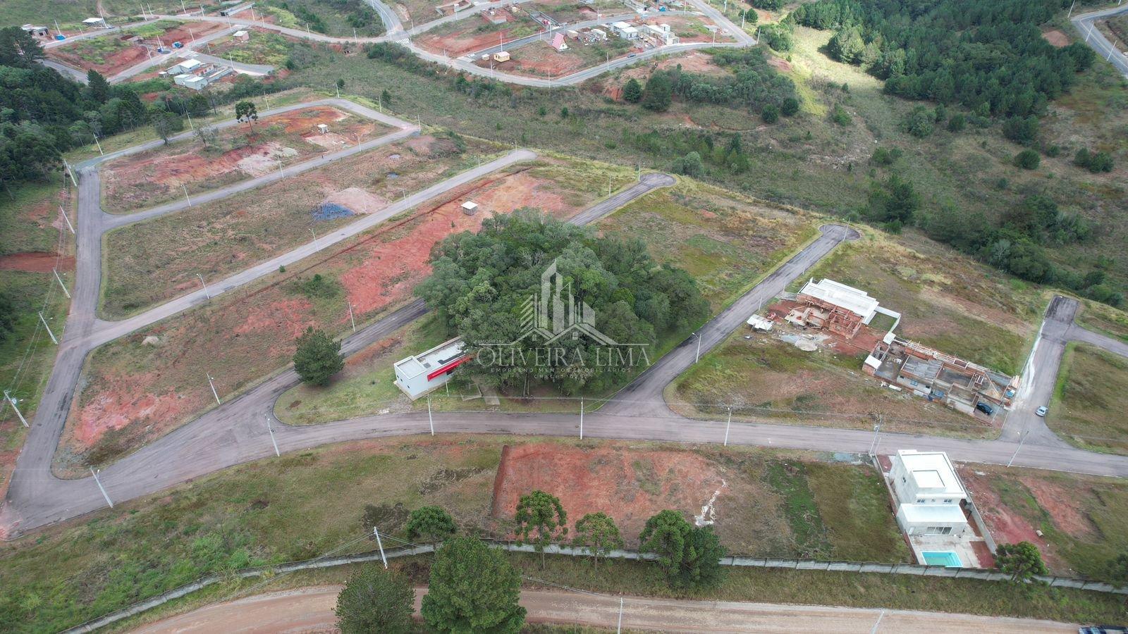 Imagem da propriedade 9