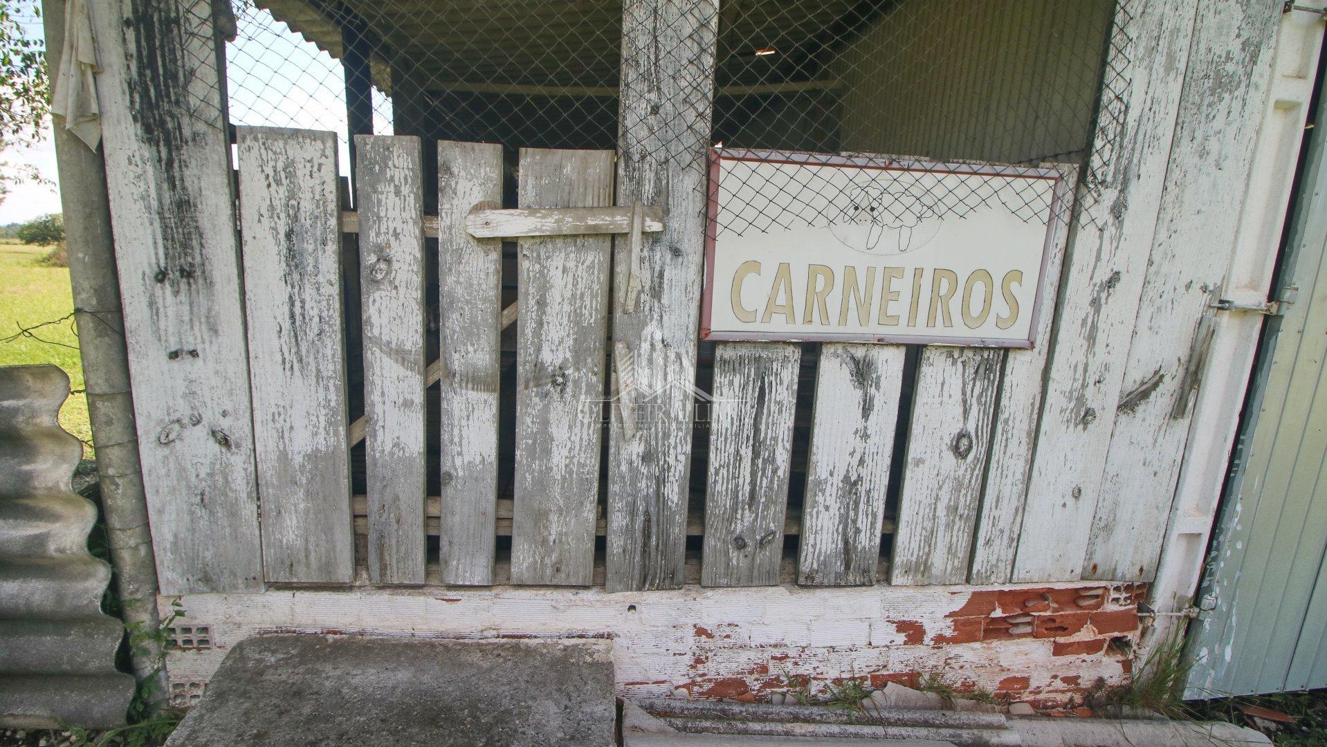 Imagem da propriedade 31