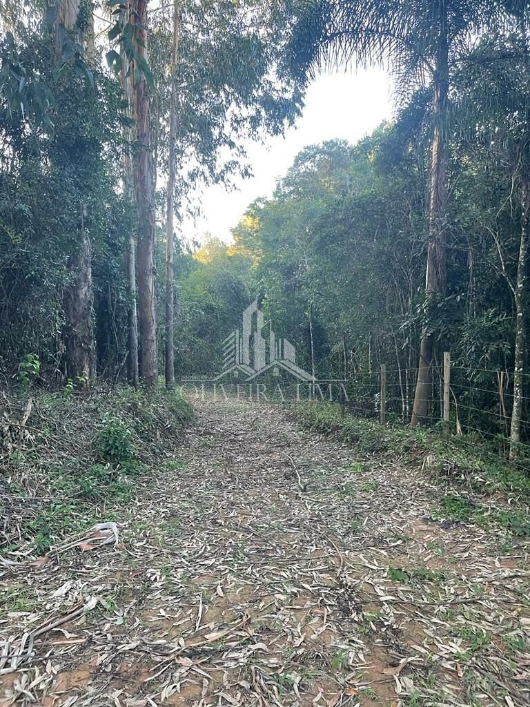 Imagem da propriedade 5