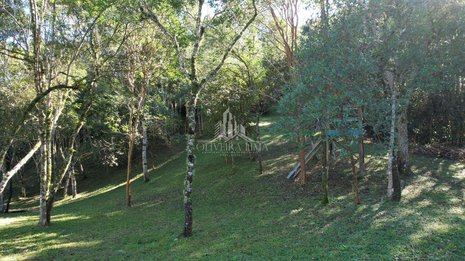 Imagem da propriedade 19