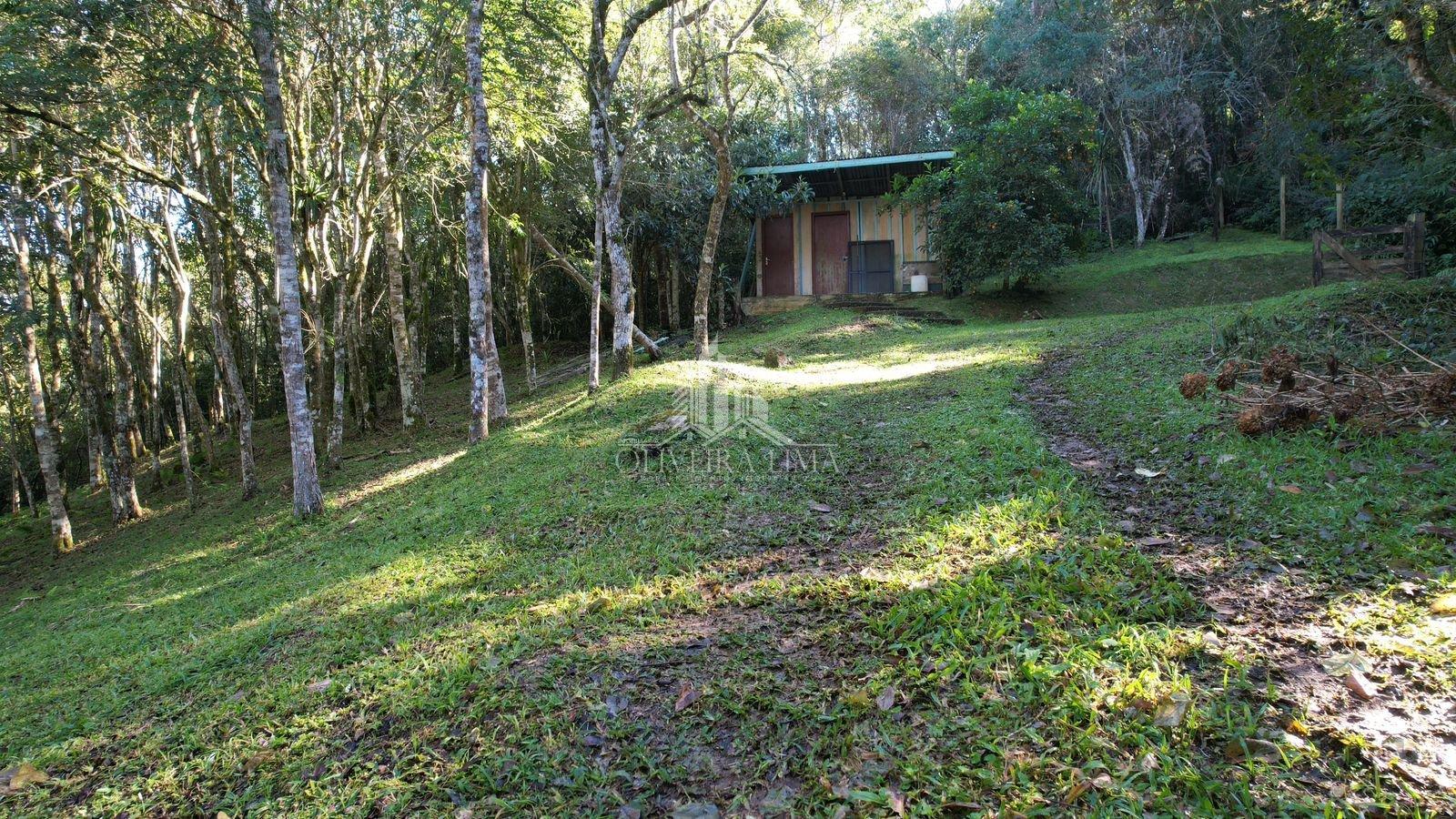 Imagem da propriedade 11