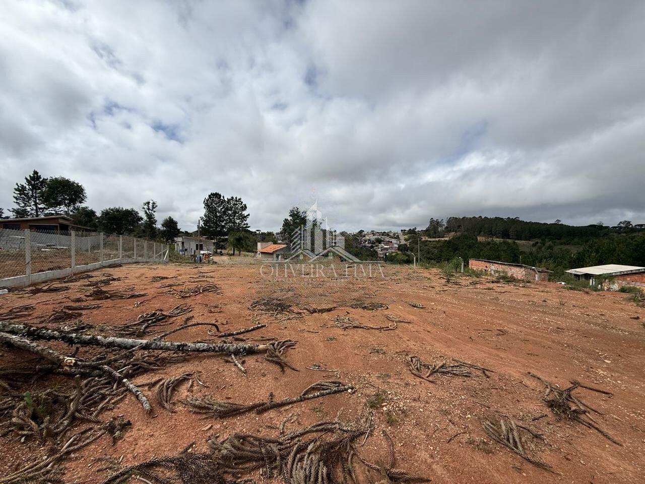 Imagem da propriedade 8