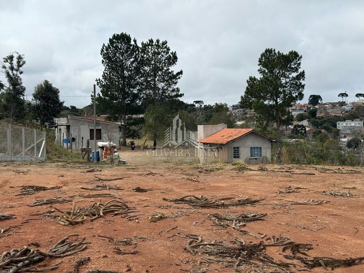 Imagem da propriedade 6