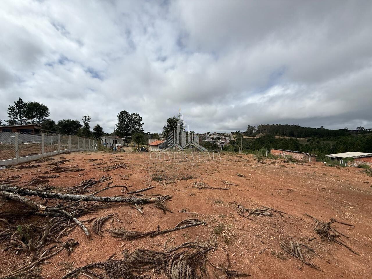 Imagem da propriedade 11