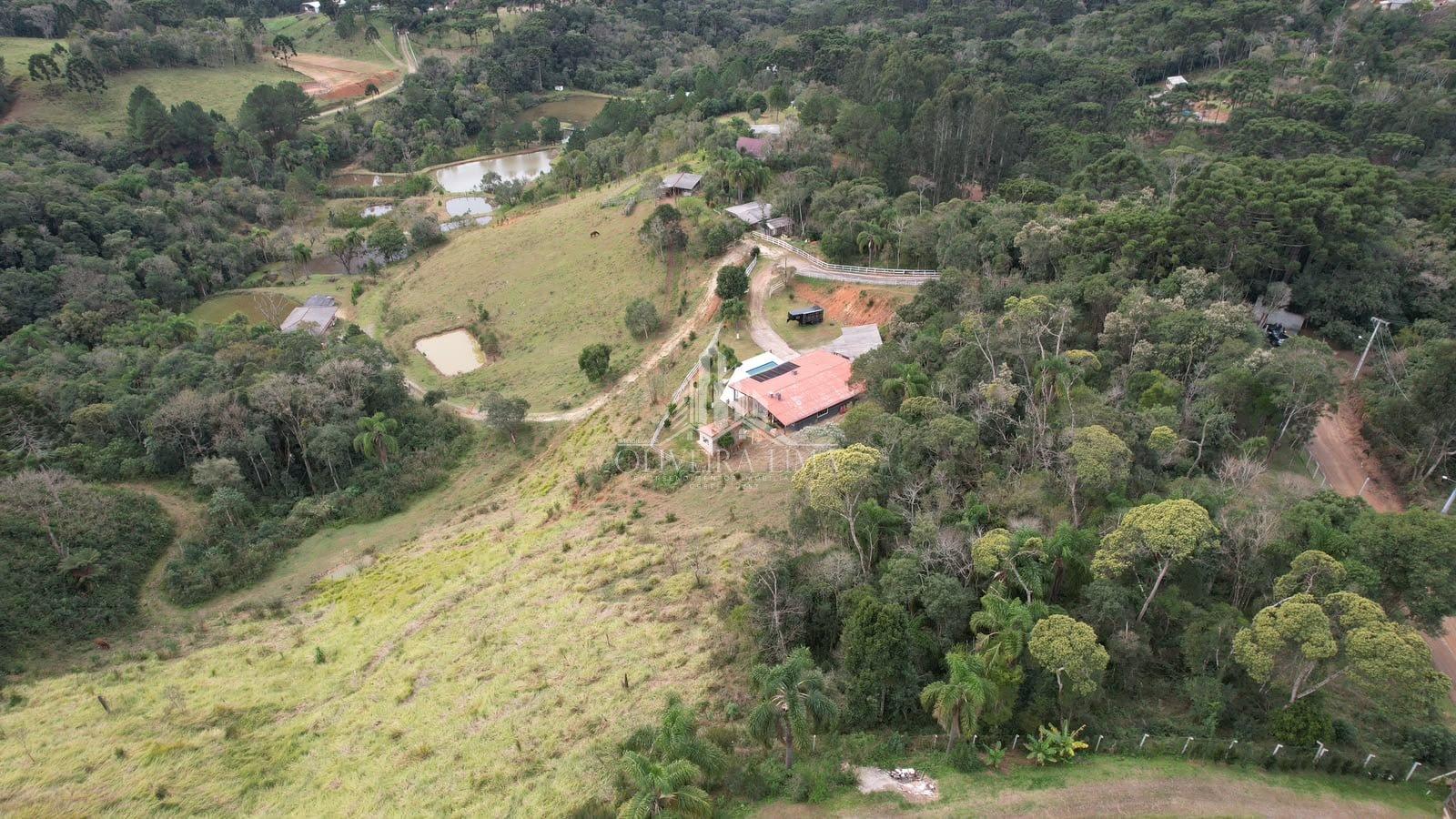 Imagem da propriedade 9