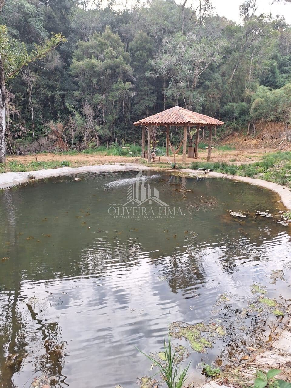 Imagem da propriedade 12