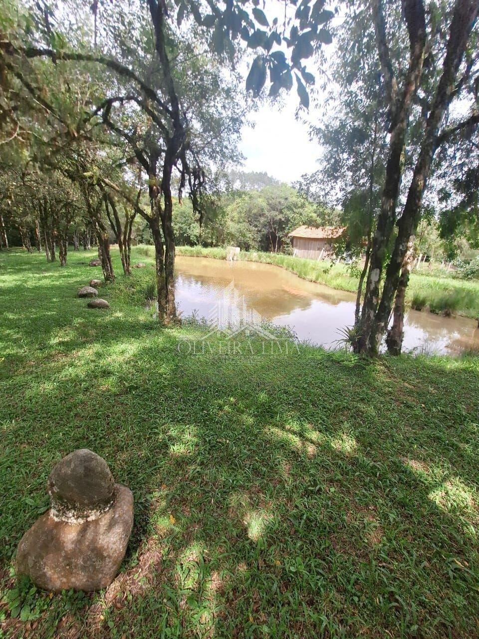 Imagem da propriedade 3