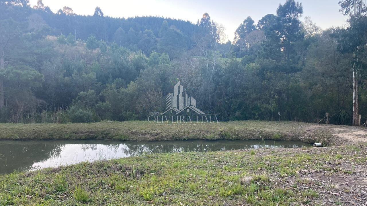Imagem da propriedade 7