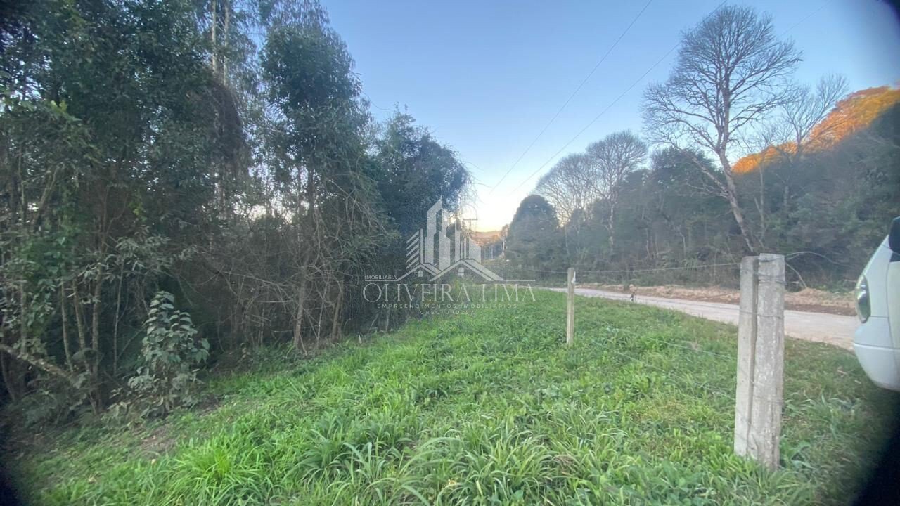 Imagem da propriedade 4
