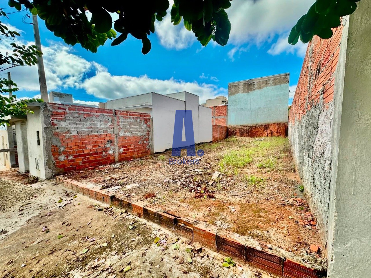 Imagem da propriedade 5