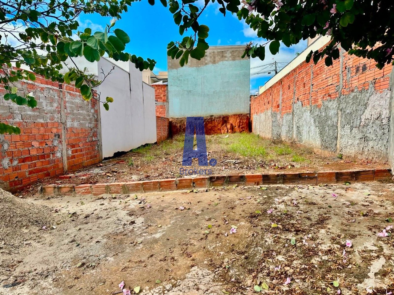 Imagem da propriedade 3