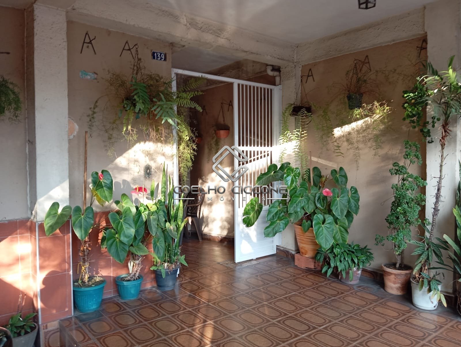 Imagem da propriedade 5