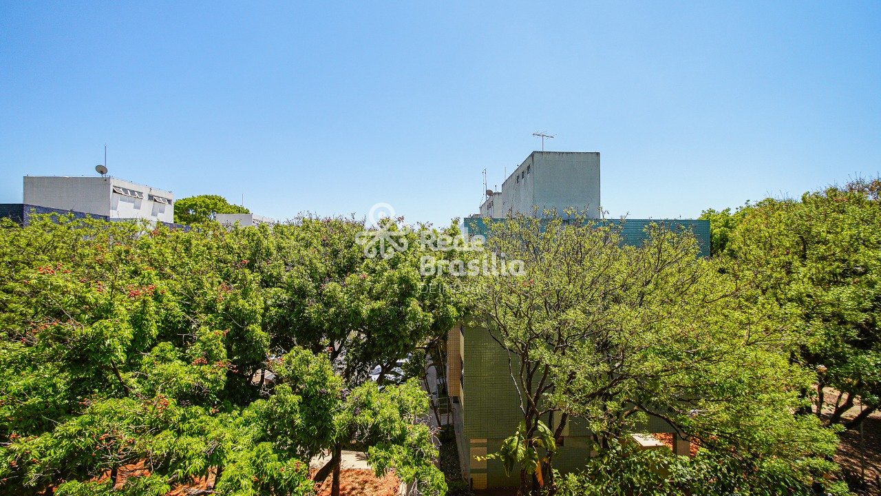 Imagem da propriedade CO10534 10