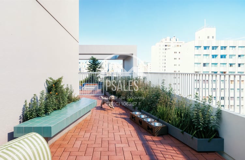 Imagem da propriedade 12