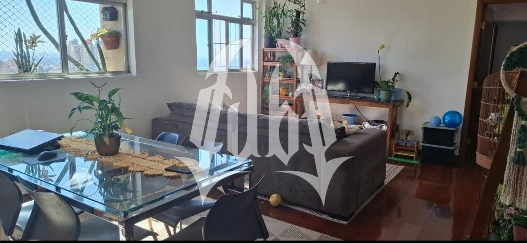 Imagem da propriedade 3