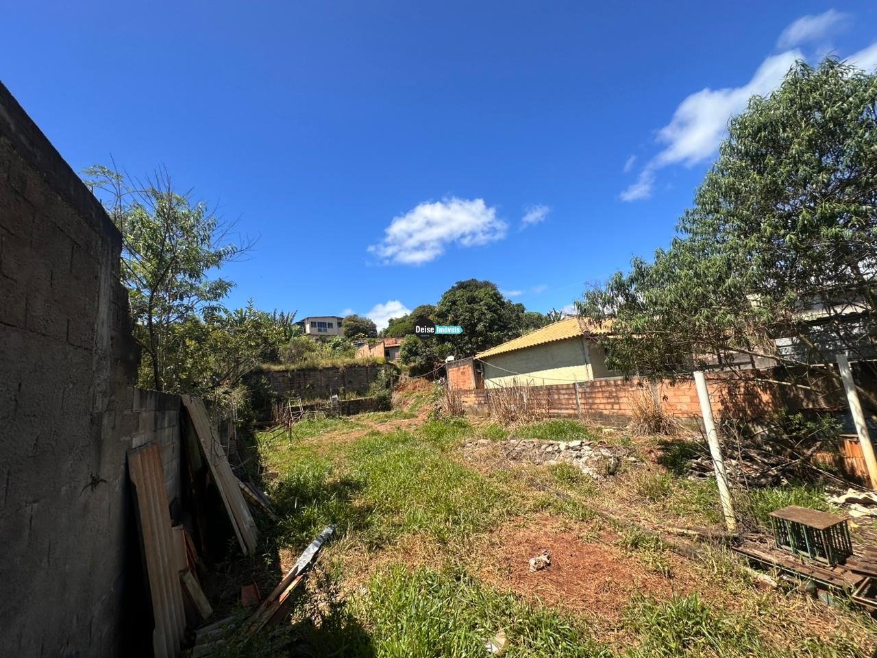 Imagem da propriedade 7