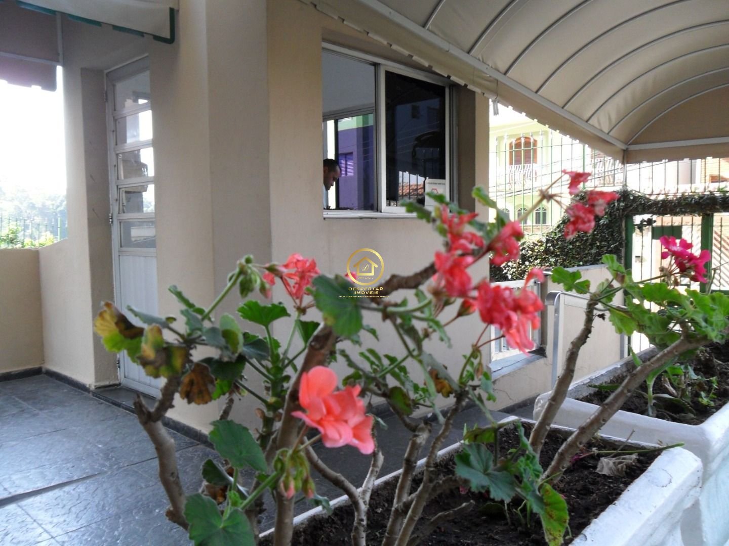 Imagem da propriedade 5