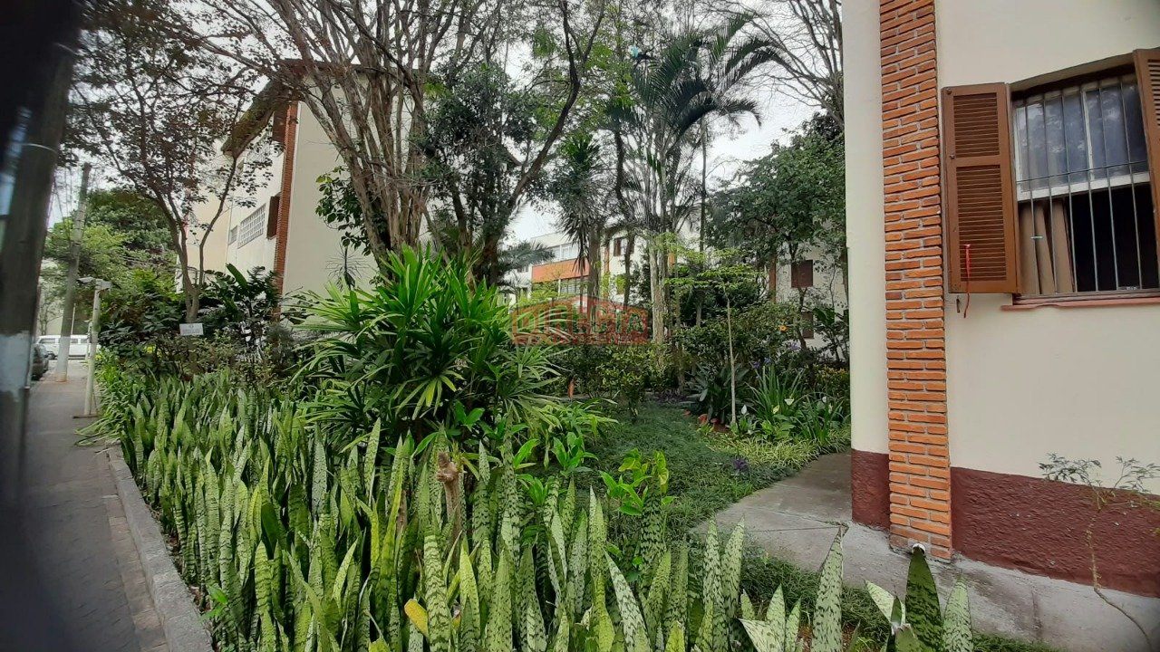 Imagem da propriedade 3