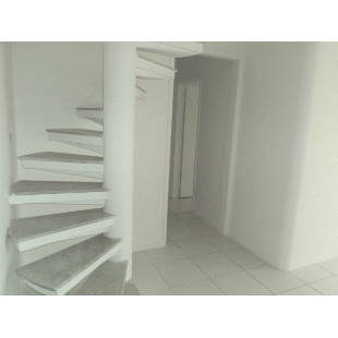 Imagem da propriedade 3