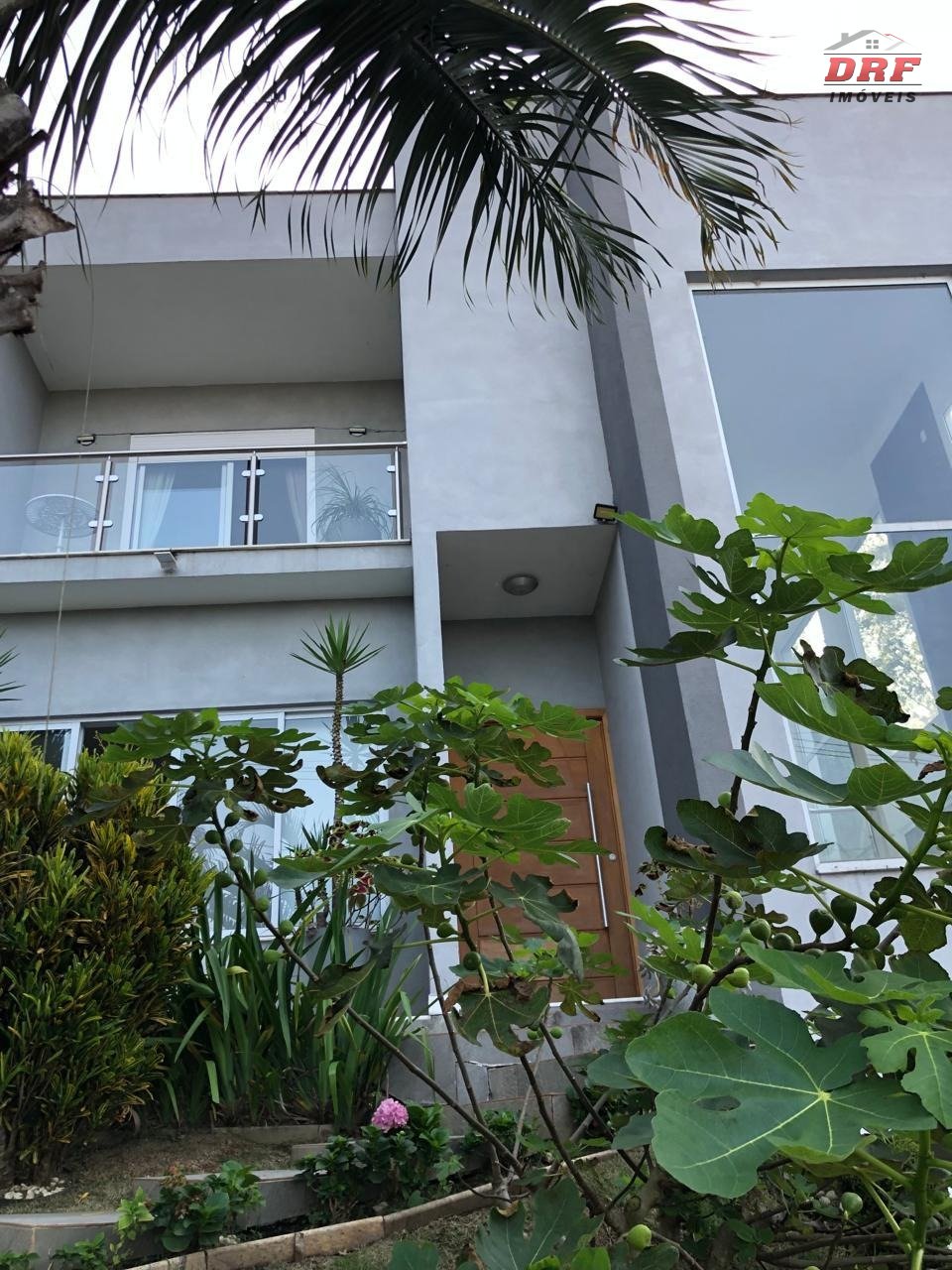 Imagem da propriedade 4