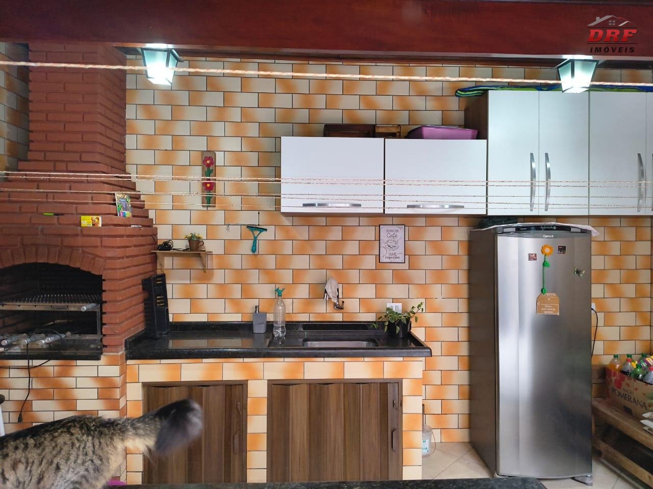 Imagem da propriedade 21