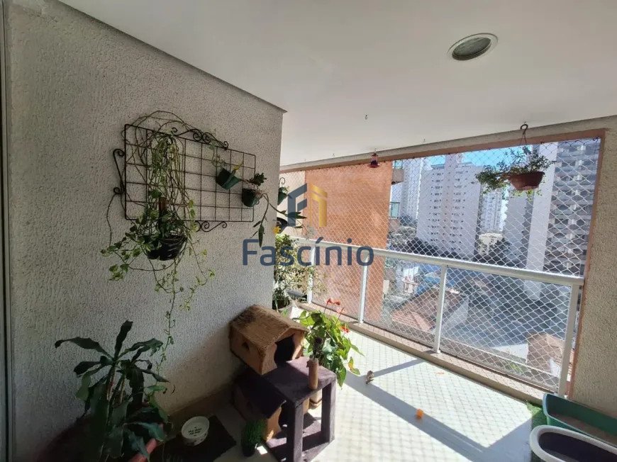 Imagem da propriedade 6