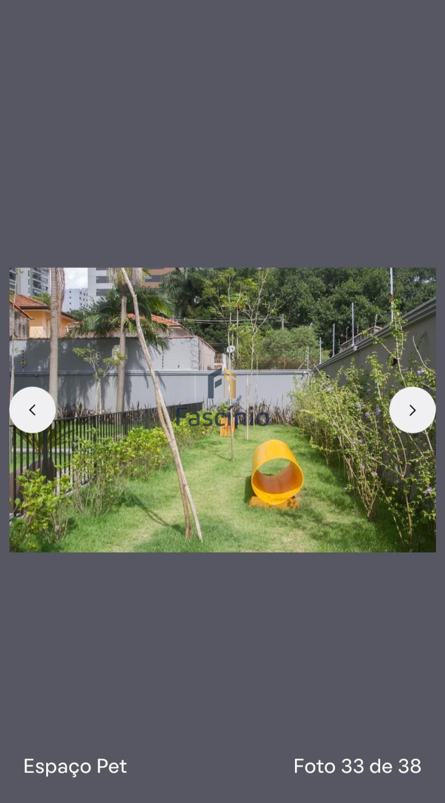 Imagem da propriedade 3