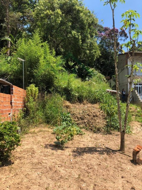 Imagem da propriedade 2