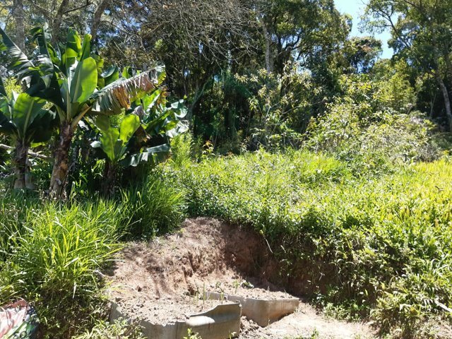 Imagem da propriedade 6